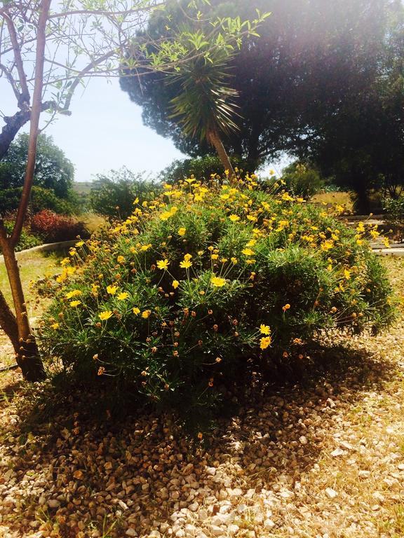 ホテル Quinta Do Atlantico ファロ エクステリア 写真